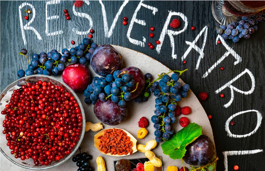 Was ist Resveratrol und wie wirkt es auf unsere Gesundheit und Langlebigkeit?