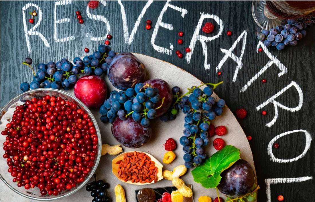 Was ist Resveratrol und wie wirkt es auf unsere Gesundheit und Langlebigkeit?