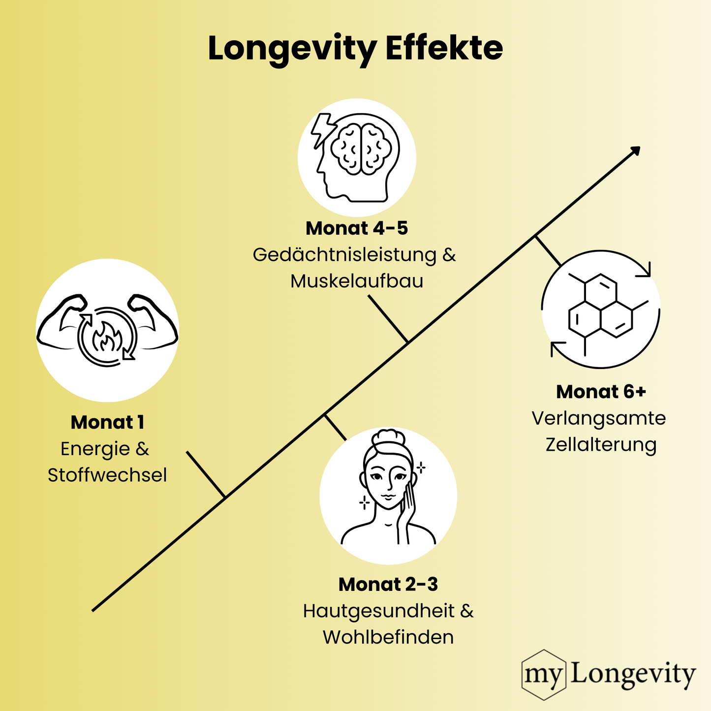 Longevity Effekte mehr Energie Stoffwechsel Haut Gedächtnisleistung Muskelaufbau Zellalterung