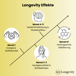 Longevity Effekte mehr Energie Stoffwechsel Haut Gedächtnisleistung Muskelaufbau Zellalterung