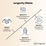 Longevity Effekte mehr Energie Stoffwechsel Haut Gedächtnisleistung Muskelaufbau Zellalterung