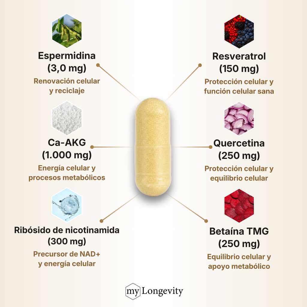Principios activos de ETERNAL 6 por dosis diaria: espermidina 3,0 mg, Ca-AKG 1.000 mg, ribósido de nicotinamida 300 mg, resveratrol 150 mg, quercetina 250 mg y betaína TMG 250 mg