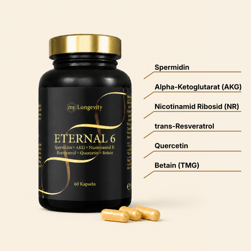 ETERNAL 6